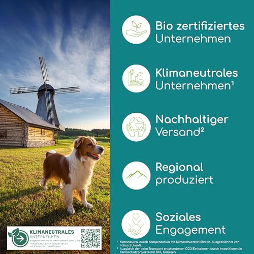 Wolfsbacher Gelenktabletten für Hunde mit Grünlippmuschel | 100 Stück - Made in Germany | hochkonzentriert, leicht zu füttern, hohe Akzeptanz | Teufelskralle, MSM und Glucosamin