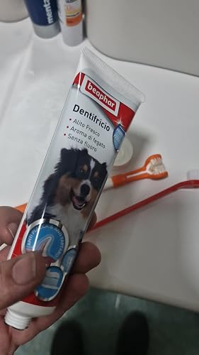 Beaphar Dentifricio Per Cani E Gatti – Anti-placca E Anti-tartaro, Sapore Di Fegato, 100 G
