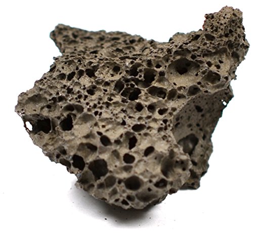 EISCO Scoria Specimen (Igneous Rock), Approx. 1