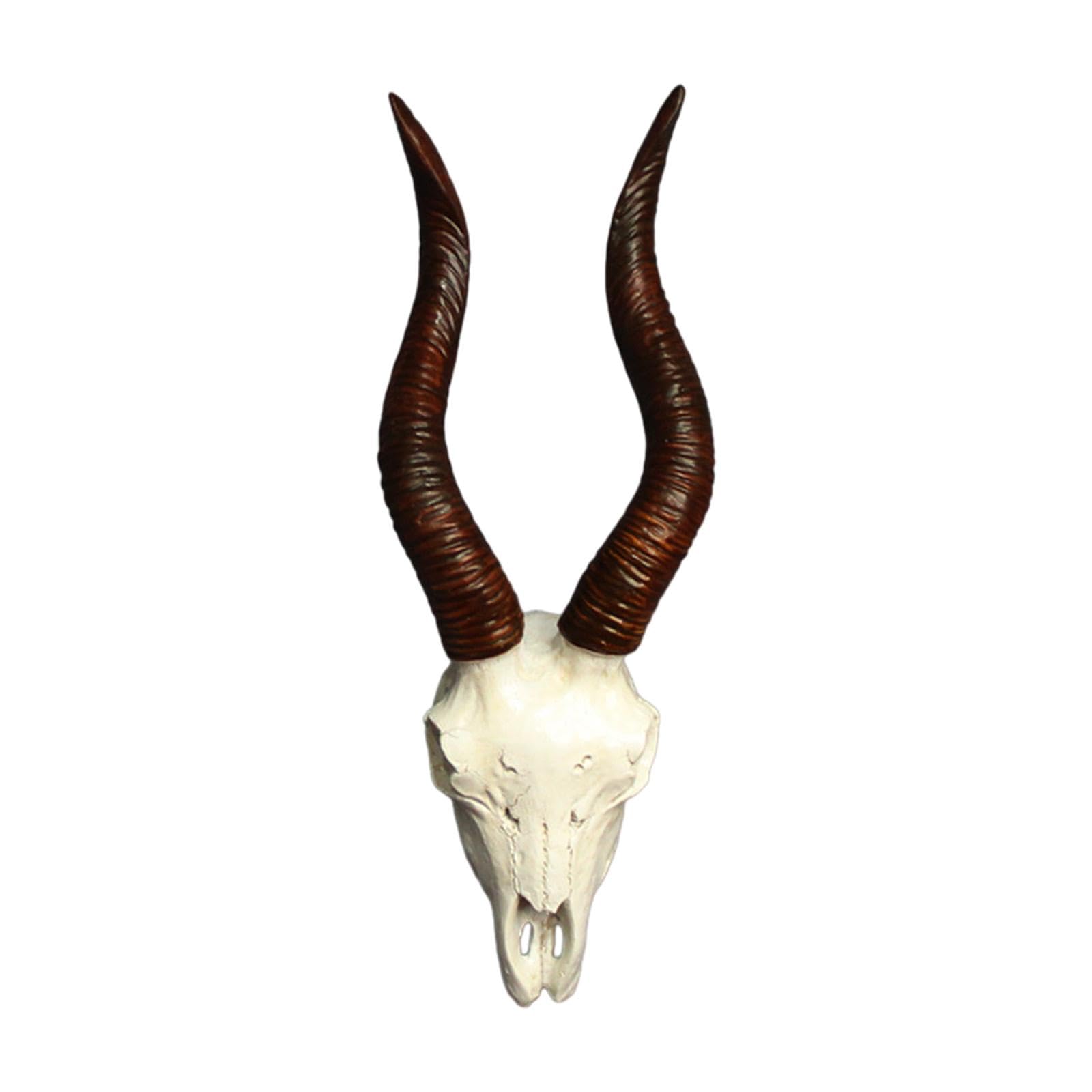 OUOULAJY Skull Animal Head Wall Sculpture Faux Animal Skull Wall Sculpture for Office Sheep