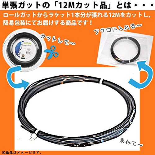 Amazon | Polyfibre (12Mカット品) ブラックヴェノム 硬式テニス