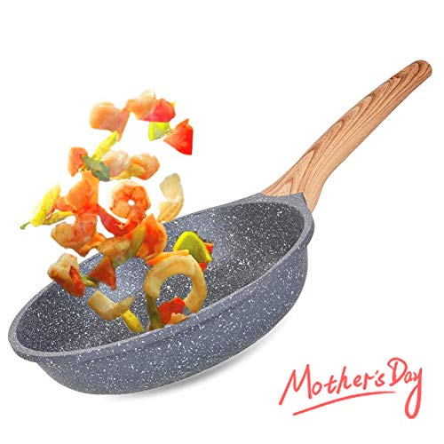 Caannasweis Nonstick Pan, Nonstick Stone Frying Pan, Best Nonstick Omelette Skillet with Soft