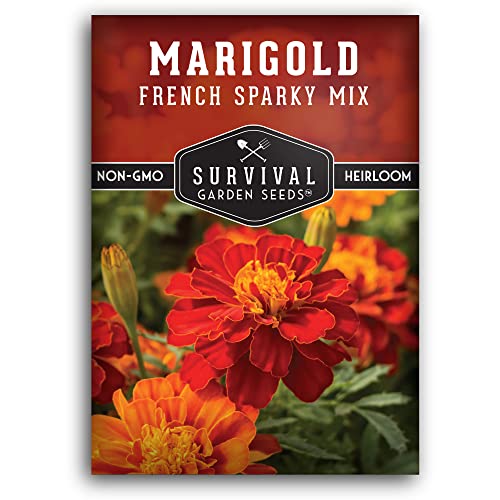 French Sparky Marigold Seeds for Planting - Plant & Grow Red & Orange Patula Flowers in Your Home Vegetable Garden - Heirloom Non GMO - Survival Garden Seeds (1 Pack)