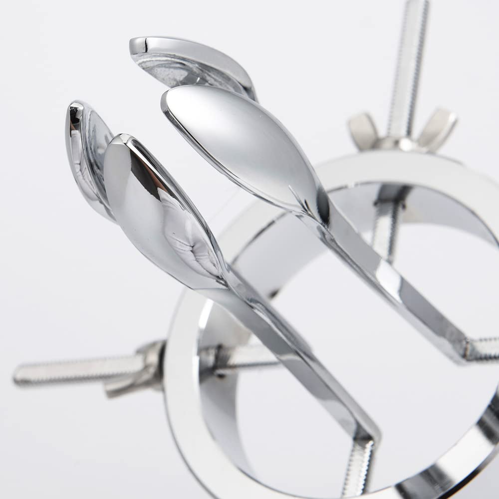 Écarteur vaginal de bondage BDSM, dilatateur anal, jouets sexuels anaux, spéculum en métal, dilatation anale vaginale, extenseur anal en métal, plug anal for femmes, jouets sexuels for couples(