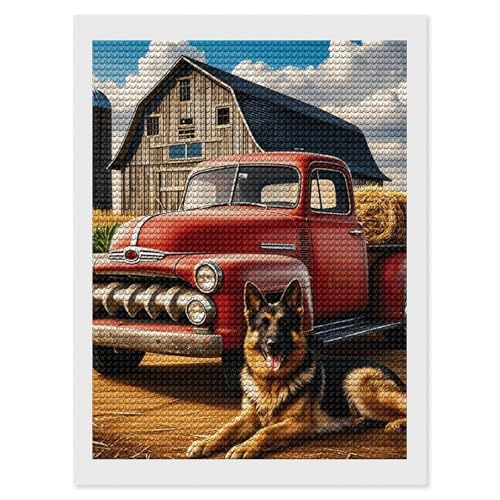 Broderie diamant 5D kit complet décoration murale 30x40