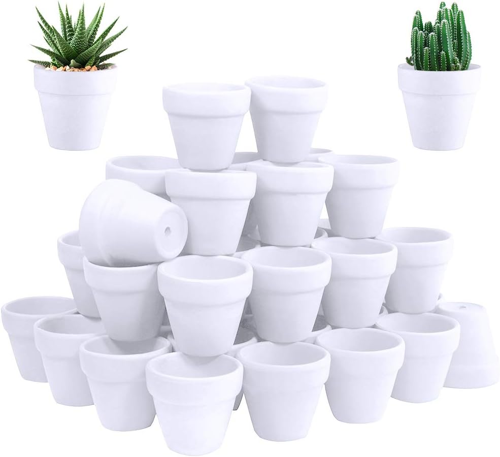 Winlyn 60 Pcs White Terra Cotta Pot - 2.5 Inch Tiny Mini Clay Pots with Drainage Holes Flower Nursery Terra Cotta Pots for Succulent Plants, Crafts, Wedding Baby Shower Favor