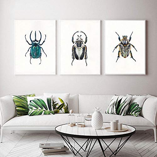VCFHU Escarabajos Arte de la Pared Acuarela Insectos Lienzo Cuadro Arte nórdico Impresiones y Cuadros Bichos Coloridos Imagen Sala de Estar Decoración del hogar 40x50cmx3 Sin Marco Cover