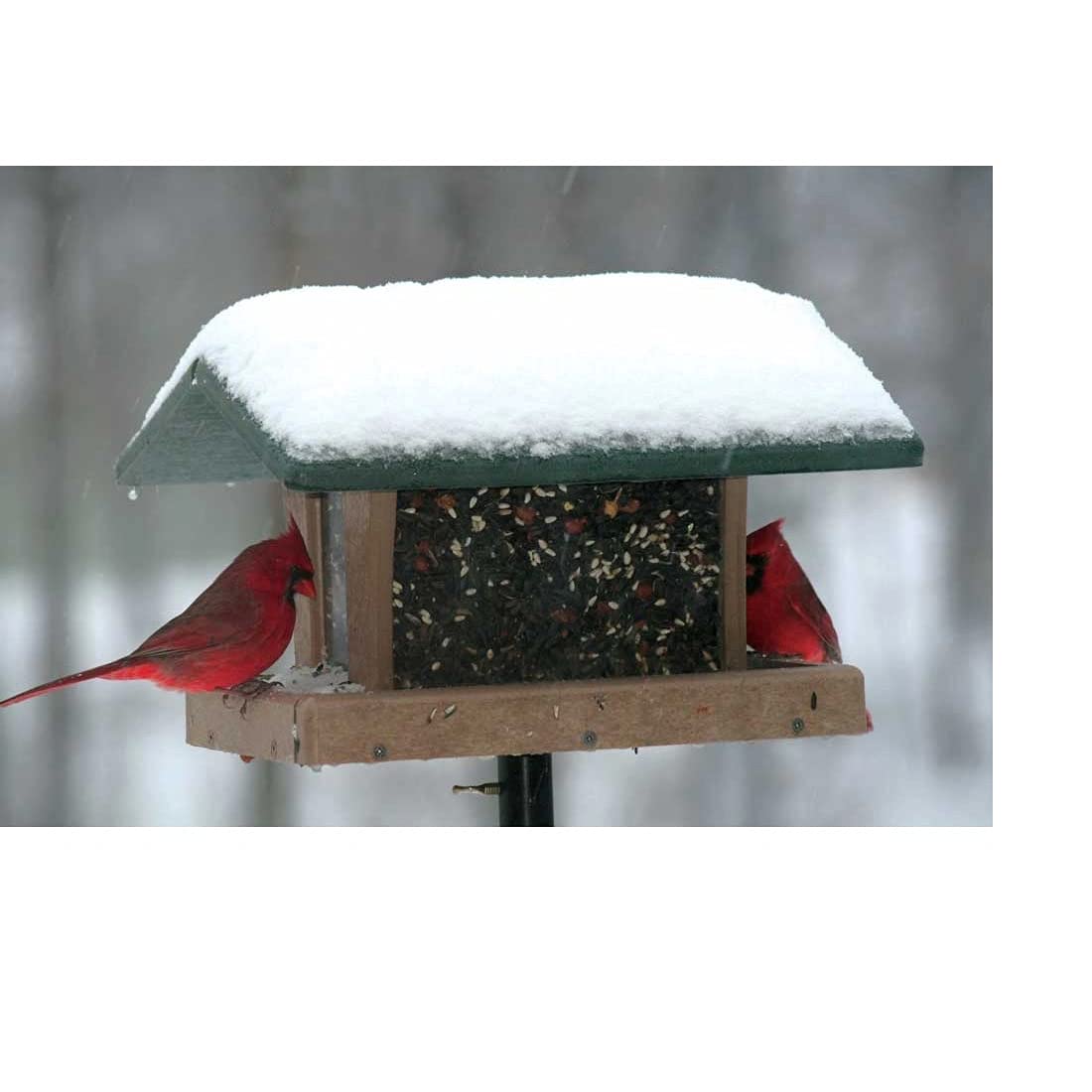 Birds Choice 3 qt. 4-seitiger Trichter mit grünem Dach