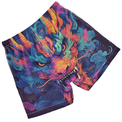 Pigsaly Boys Swim Trunks Dragons Boys Board Shorts Swimsuit Swimwear Summer Bathing Suit 5T Multicolor2