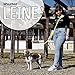 FIRSTPAW Hundeleine - Wasserdicht Trainingsleine für Hunde - 2m Doppelleine - Gelbe Hundeleine für Klein, Mittelgroße und Große Hunde - Multifunktionelle und Verstellbare Leine Hund