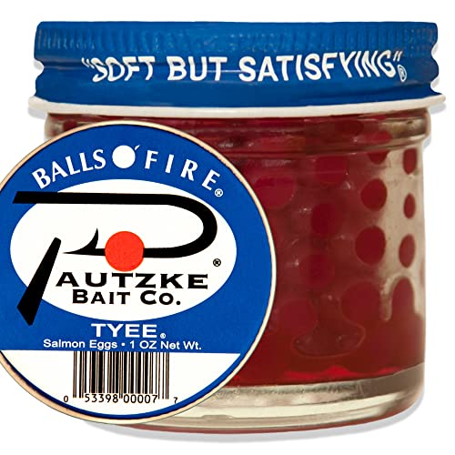 The Best Salmon Fishing Baits A Guide for Beginners