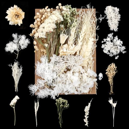 Trockenblumen,Natürliche Gemischte Getrocknete Blumen,Trockenblumen...