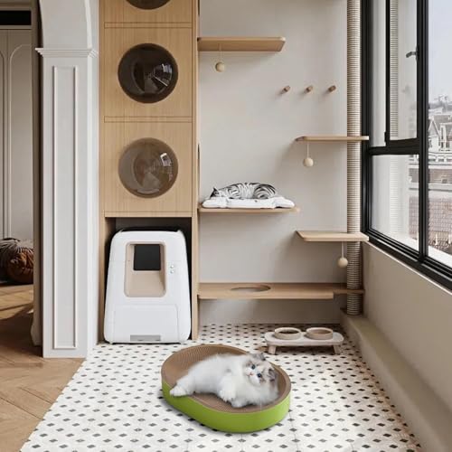 Espace de couchage pour chat d'intérieur avec panier de repos - 3