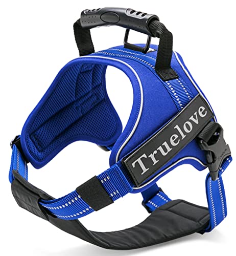 cocomall 2WAYAɗDn[lX Sypn[lX TRUE LOVE{X p hbO ybgpi 3Mˍޗ P o iCf ^A^A^Ɍ ʋC ߉\ (S, Cgu[)