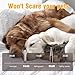 VCM Hair Clippers and Paw Trimmer for Pets Cordless Quiet Grooming Kit 2 in 1 for Cats Dogs Thick Hair Animals Horse Low Noise