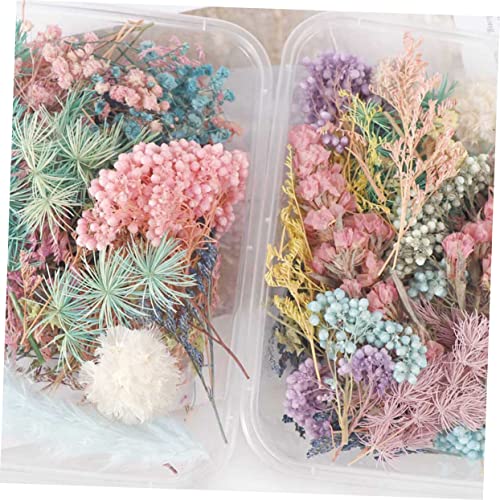VOSAREA 2 Caixas Flores secas de aromaterapia flores secas para decoração enfeites de álbum de recor