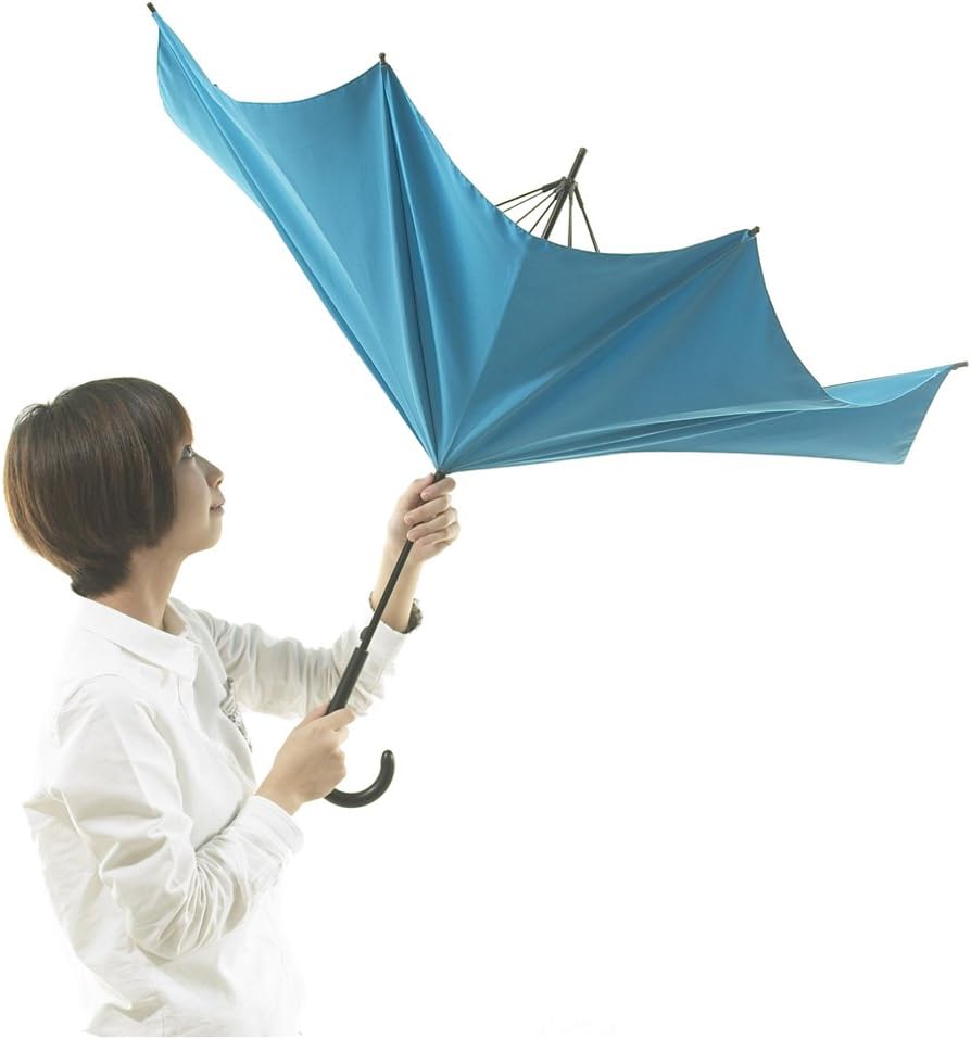 18％OFF】 +d アッシュコンセプト : D-870-LB UnBRELLA D-870-LB 