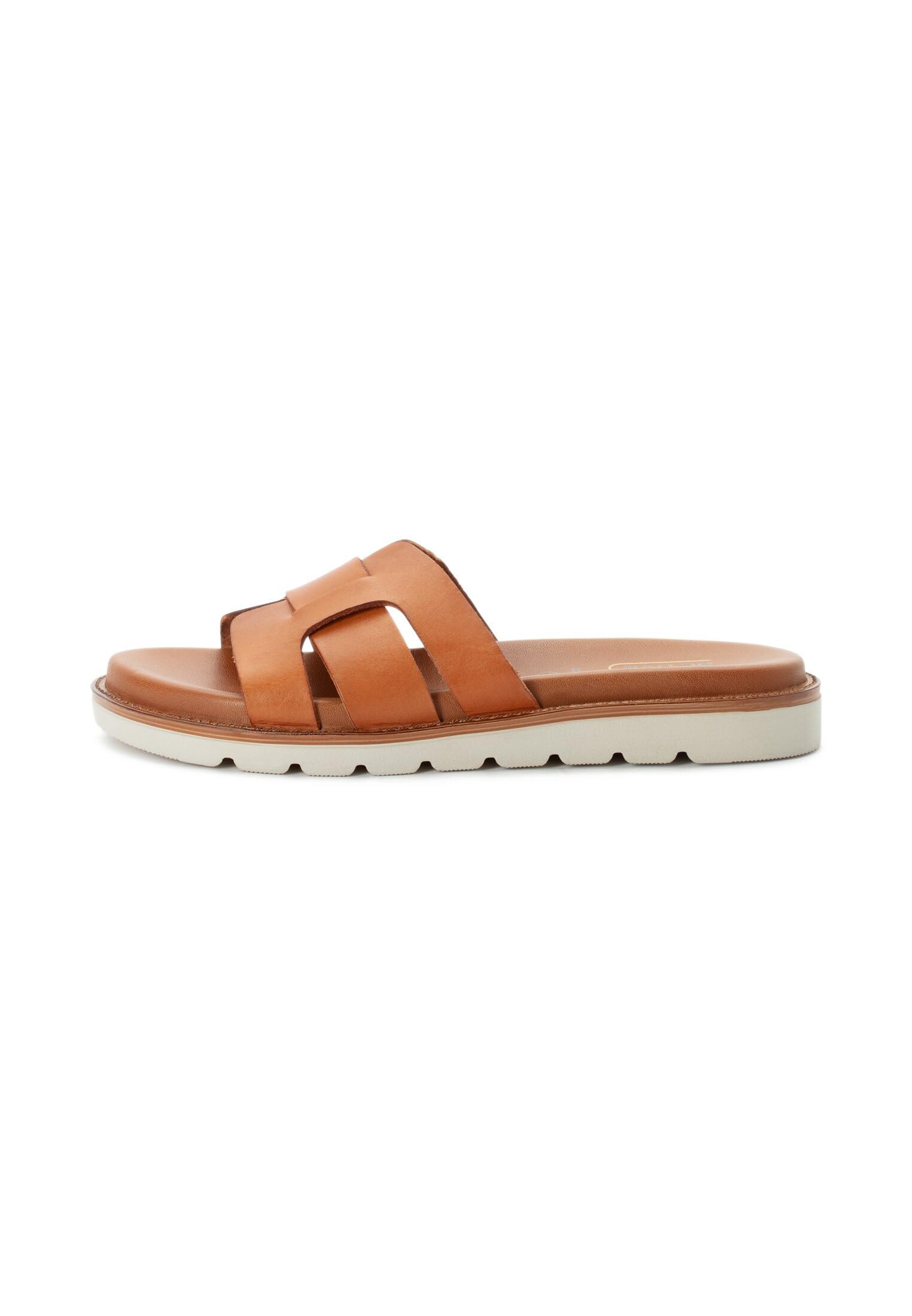 camel active
