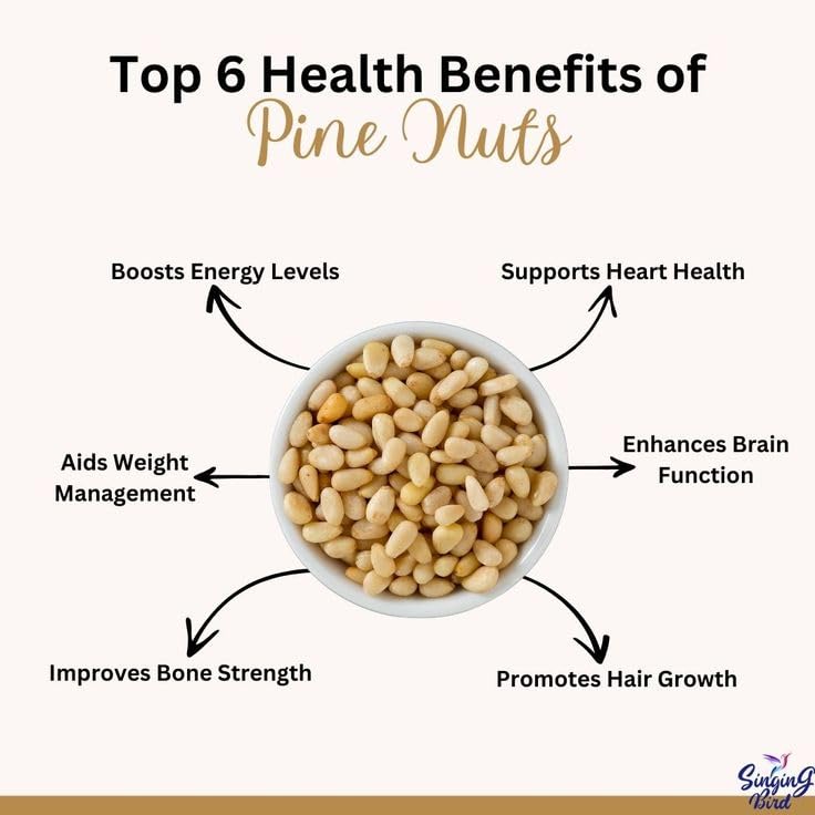 Image of SONAV FOODS Pine Nuts 100 GM | Chilgoza Dry Fruits | Without Shell | Nuts Jumbo Size Pine Nuts Chilgoze | Chilgoja
