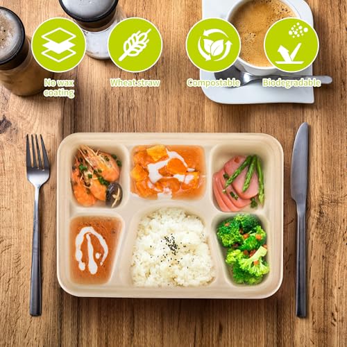 TCAIRG 50 Pack 6-Compartment Disposable Plates, 11\" x 8\" Compostable School Lunch Tray Divided Paper Plates, Eco-Friendly Sectional Plate Paper Tray for School, Party, Made of Wheat Straw Fiber