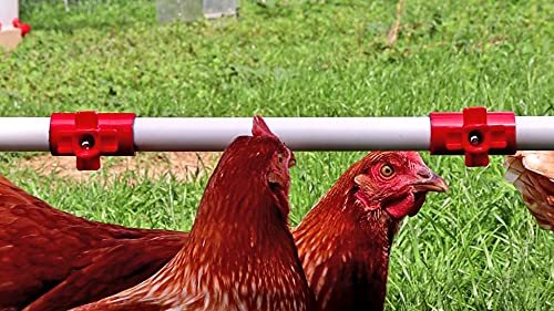 RentACoop DIY Chicken Waterer Kit 12-pack Horizontal Nipples and Tees for ½" PVC Piping