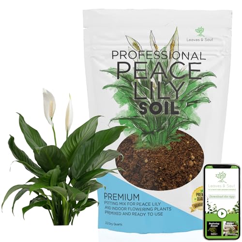 Comparison: Best Pot For Peace Lily 7 Professional Peace Lily Soil | Large 2.2 Quarts Ready to Use for Peace Lily Plants | Peat Moss, Coco Coir, Perlite, Dolomite | Made in USA