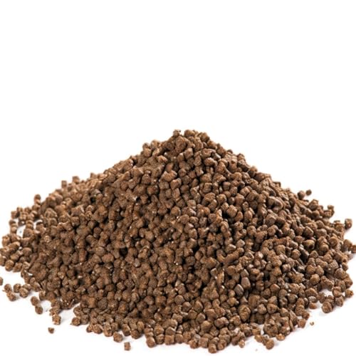 Aqua-Tropica Raubschnecken-VITAL – Spezialfutter für Raubschnecken (Anentome Helena) – proteinreiches Schneckenfutter für Aquarium, artgerechte Ernährung (35 g)