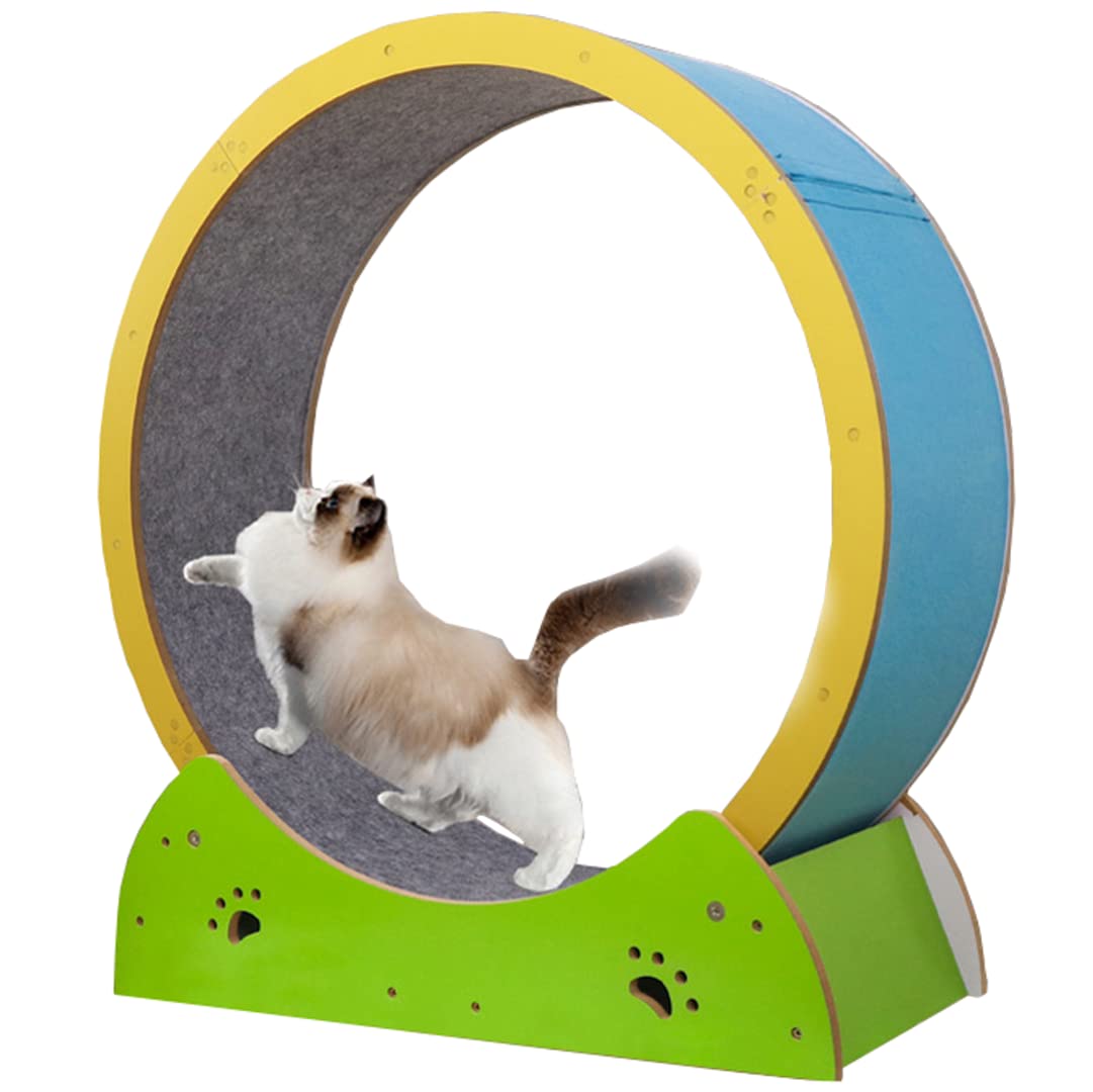 Roue d exercice pour chat pour prendre soin de la santé et du bonheur de votre félin