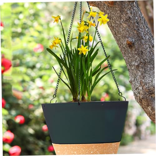 Pot suspendu drainant de 20,3 cm avec niveau d'eau visible pour arrosage facile - 5