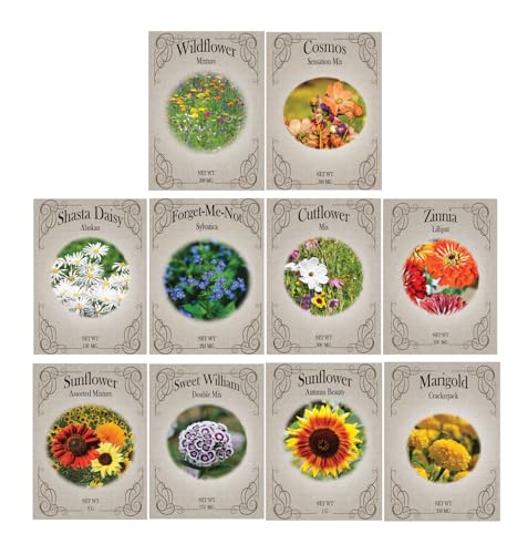 Top 10 Most Popular Flowers - 10 Varieties of Non-GMO