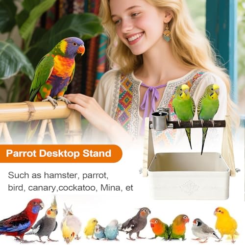 Station avec bols d'eau pour perroquets calopsittes conures et oiseaux d'extérieur - 4