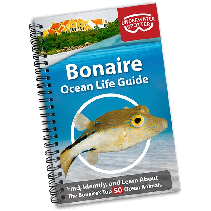 Bonaire Ocean Life Guide, Underwater Spotter Fish Identification Book For Scuba Divers, Snorkelers and Kids, 50 Fish Species and Marine Animals