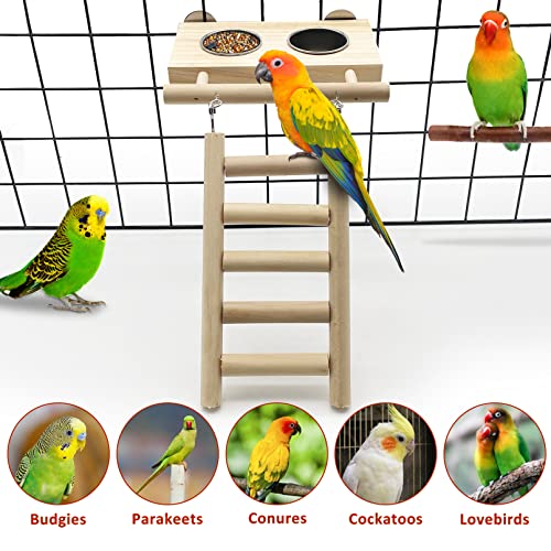 Tfwadmx Bird Food Stainless Steel Cups Wooden Perch Stand Hanging Feeder Bowls Feeding And Watering Supplies For Parakeets Conures Cockatiels Budgie Parrot #TOP5