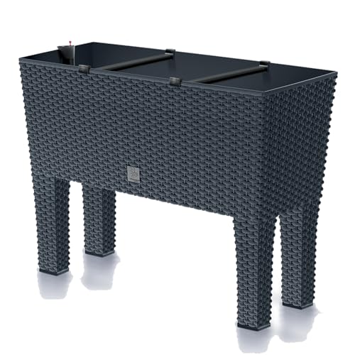 Prosperplast Blumenkasten Rato Case High inkl. Bewässerung und...