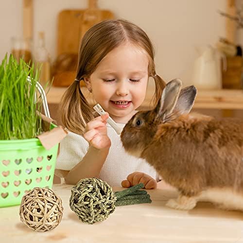 Labeol 27 PCS Rabbit Toys Set for Teeth Care and Exercise, Natural Wooden Treats for Hamster Guinea Pig Rabbit Rat Chinchilla and Gerbils, Boredom Breaker Accessories for Small Animals