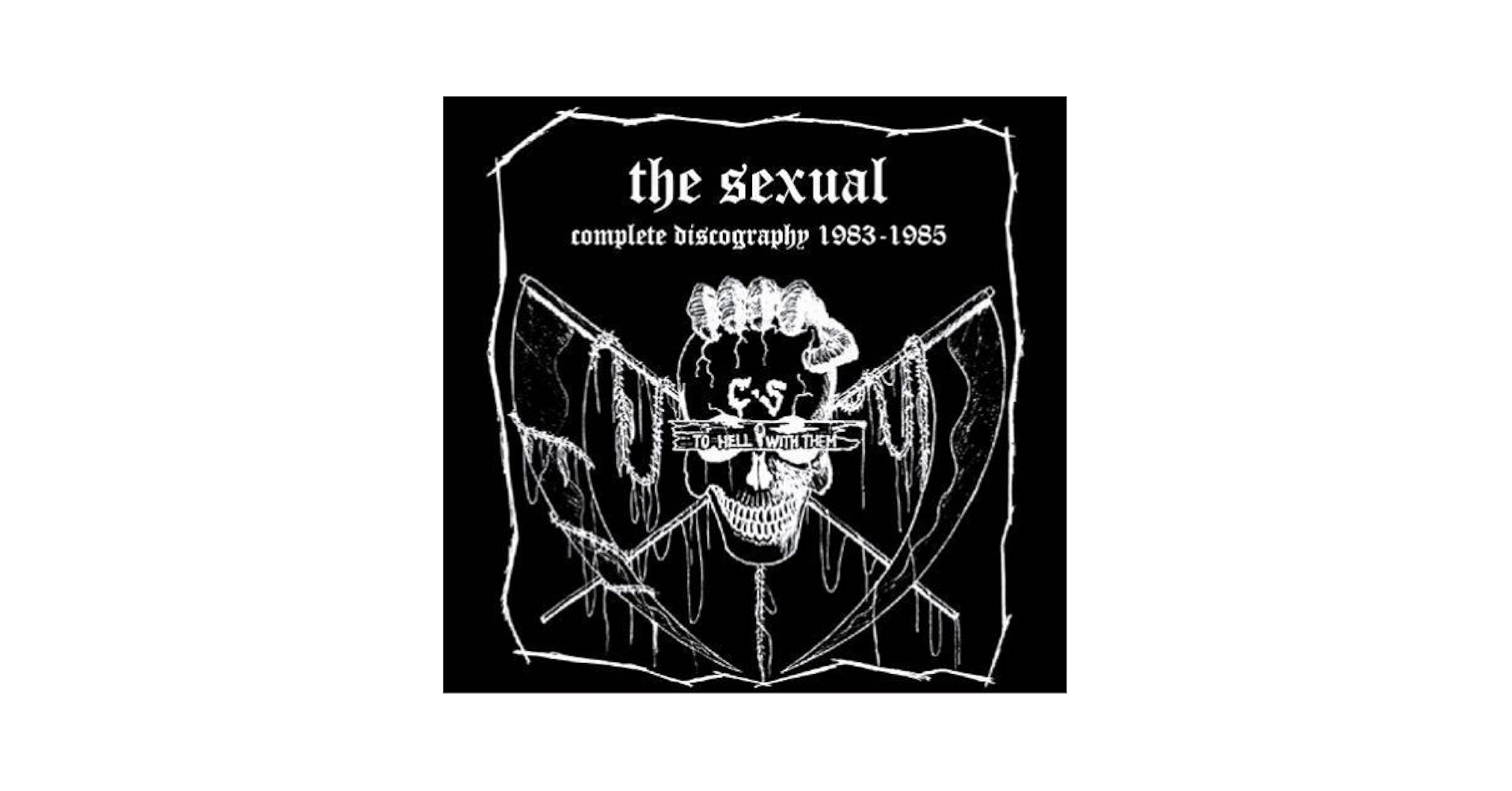 稀少CD/the sexual/comp discography '83-'85 The Sexual – Complete Discography 1983-1985 – Vinyl (LP