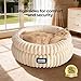 BALANCE Cat Bed Kitten Bed, Washable Round Cat Beds for Indoor Cats,Super Soft Plush Faux Fur Pet Bed for Puppy and Kitten with Anti-Slip Bottom