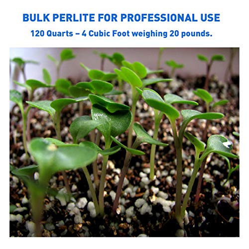 PVP Organic Perlite Planting Soil Additive - Image 2