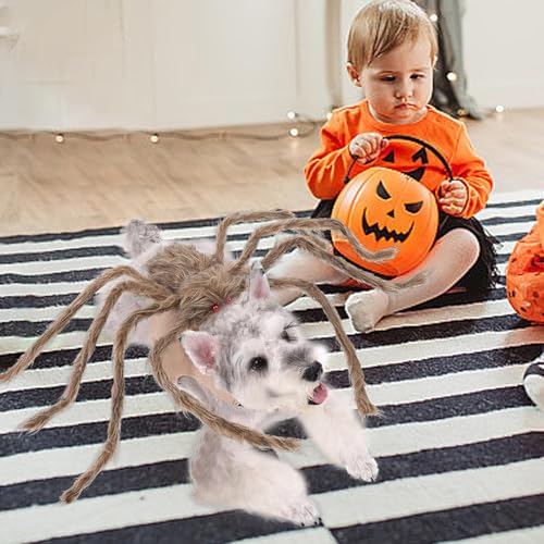 Spinnen-Kostüme für Hunde, Halloween-Kostüme für Hunde, Spinne – Haustier-Outfits, Riesen-Simulation, mit Fell, Kostüm-Zubehör