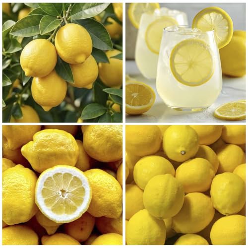 30Pcs Lemon Seeds for Planting - Non-GMO Heirloom Plant Seeds Garden Outdoor - Delicious Fruit,Great for Bonsai