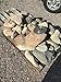 Blue Ground Kimberlite -500 Carat Lot- Guaranteed Diamonds