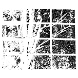 Photo Gallery do you find it beautiful?