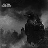 ebay kleinanzeigen faller hit train  Hit You Up [Explicit]