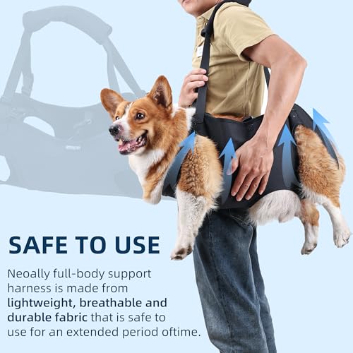 Duuclume Hunde-Hebegeschirr, Notfall-Rucksack-Haustier-Bein-Unterstützung & Rehabilitation Hunde-Sling-Träger, Verstellbare Hebegurte Hunde-Träger für Senioren Alte Hunde Gelenkverletzungen Arthritis