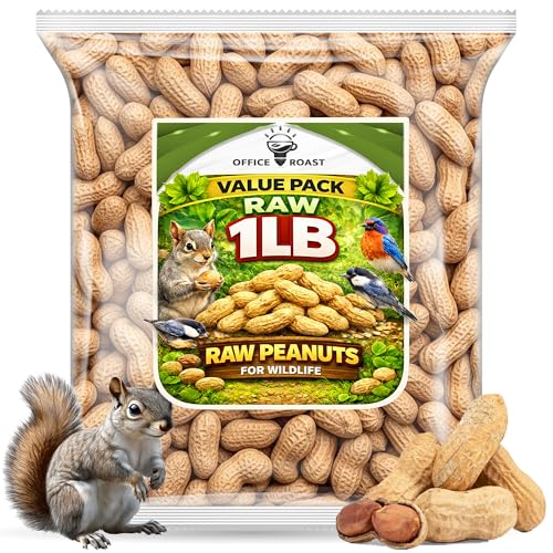 Office Roast Raw Peanuts in Shell 1 lb Bag – Unsalted, Natural & Healthy Snack – Plain Peanuts for Squirrels, Birds & Wildlife Feed