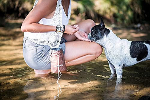 big buddy® Snacktasche Futterbeutel für Hunde | 3er Set | Leckerlietasche für Hundetraining, Hundesport & Spaziergänge – Grün