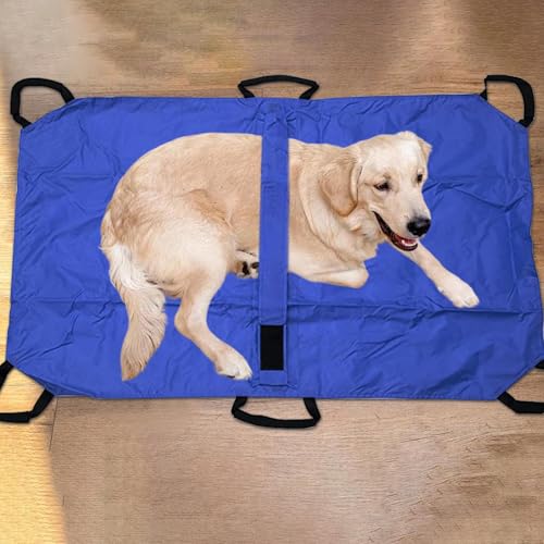 Civière pour le chien pour résoudre les problèmes de levage de chats - 3