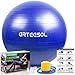 arteesol Pelota de Ejercicio, 45cm/55cm/65cm/75cm Pelota de Yoga Fitness Estabilizador Resistente Bola de Equilibrio con Bomba rápida para la Fuerza del núcleo (45cm, Azul)