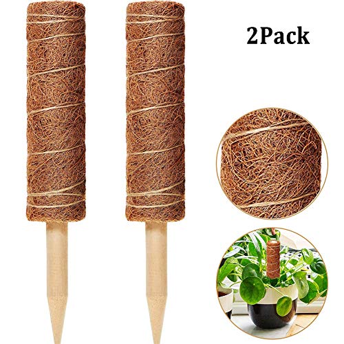 INTVN Tutor di Supporto in Confezione da 2 per Piante rampicanti, Tutor in Fibre di Cocco, Bastoncino in Schiuma di Cocco per Piante rampicanti Moss Stick rinnovabile, per Piante rampicanti per Viti