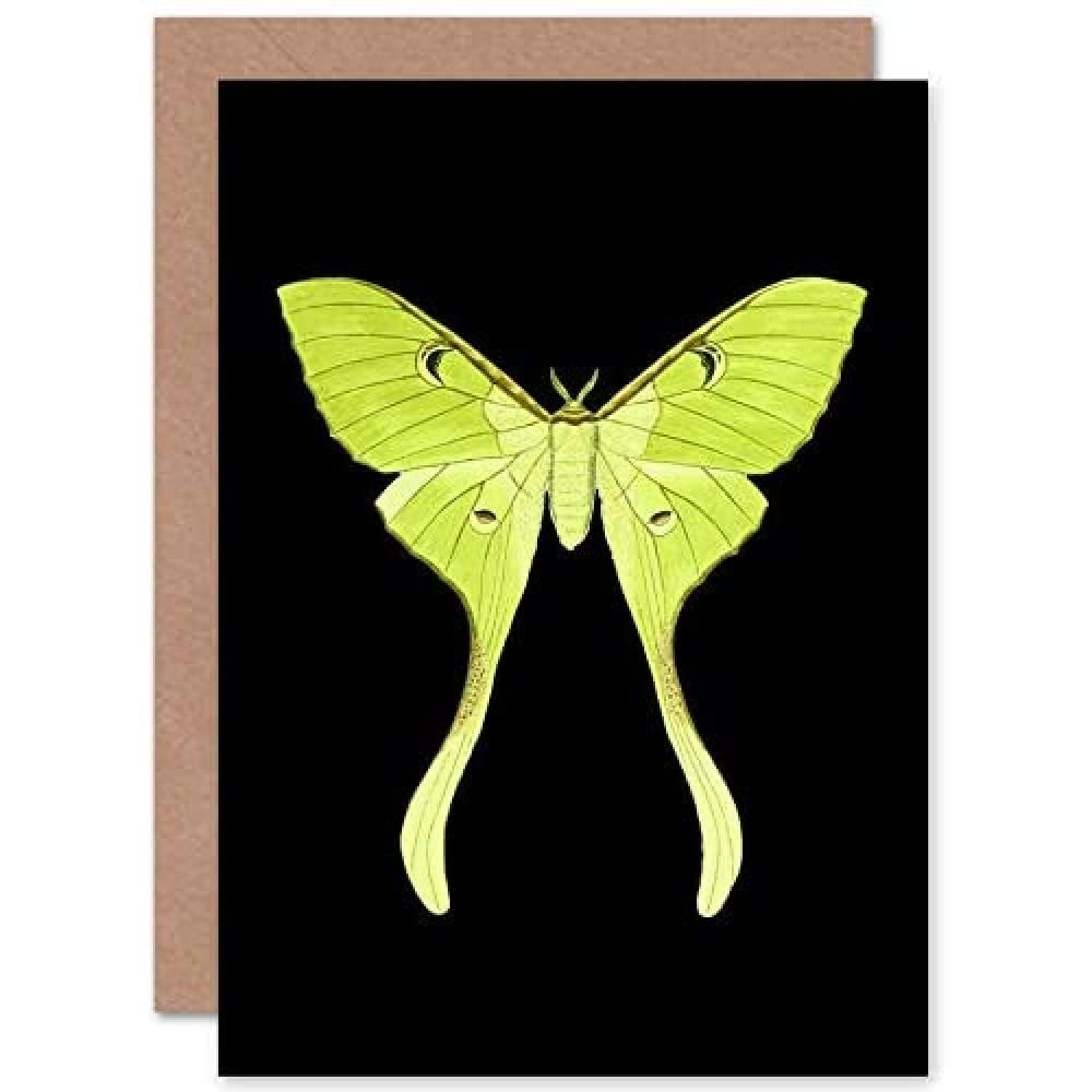 Wee Blue Coo Green Luna Moth Greeting Card With Envelope Inside Premium Quality
